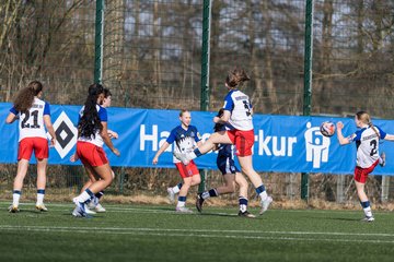 Bild 132 - wBJ Hamburger SV - Hertha BSC : Ergebnis: 2:1